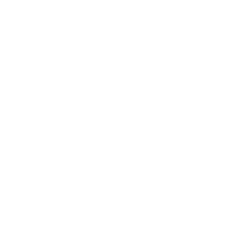 04_Dell