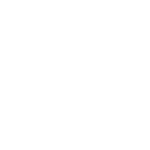 06_Fortinet